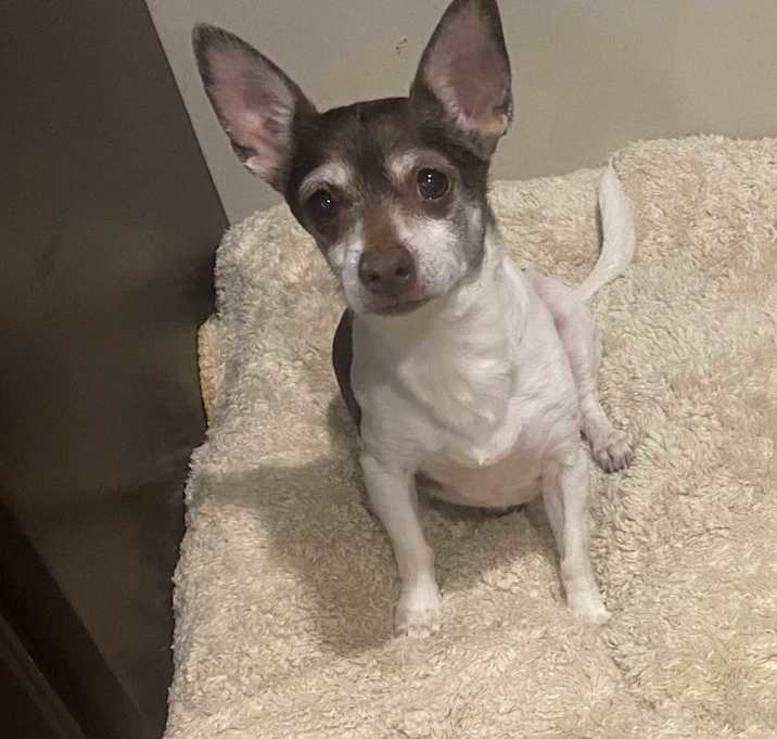 Photo of Paco
