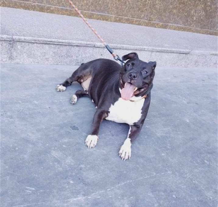 Photo of Tinker