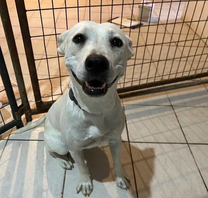 Photo of Ivory