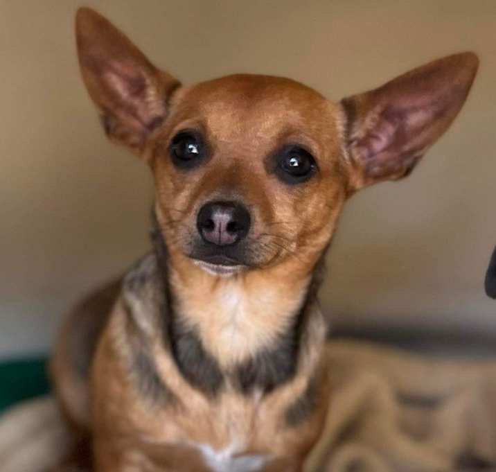 Photo of WREN