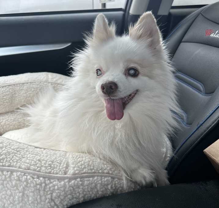 Photo of Miss Leila