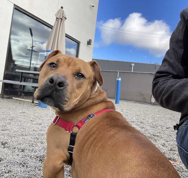 Photo of Benny