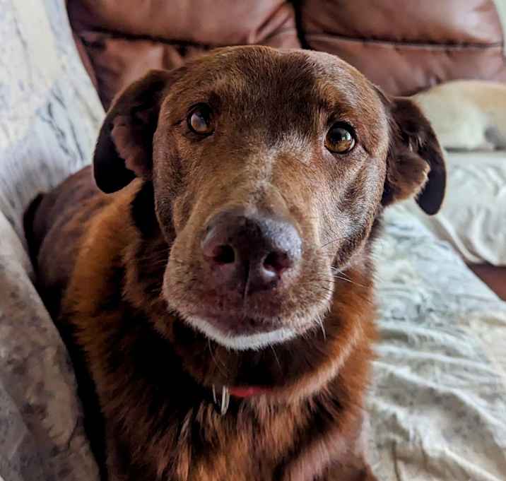 Photo of Storm