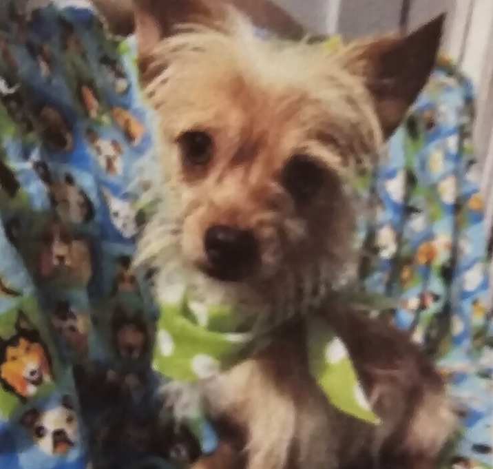 Photo of Lucas