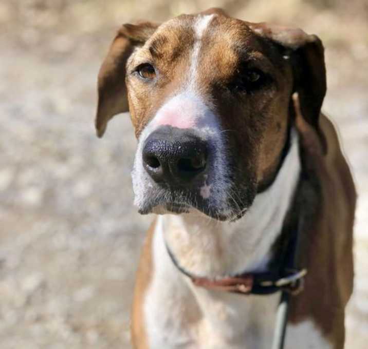 Photo of Raider