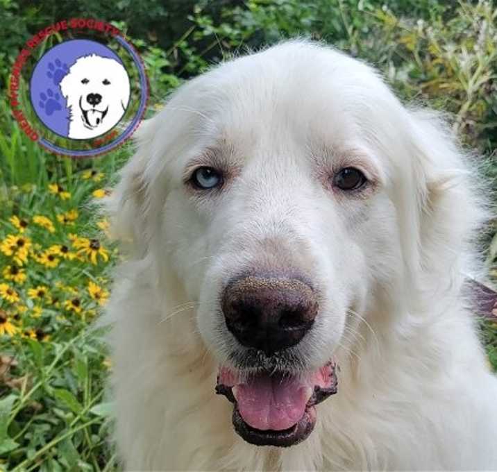 Photo of Ziggy