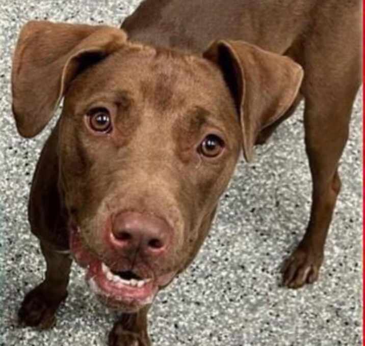 Photo of Flora - ROCKFORD
