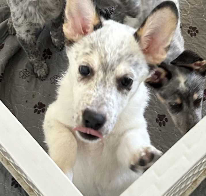 Photo of Yuki