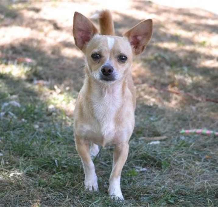 Photo of Paco
