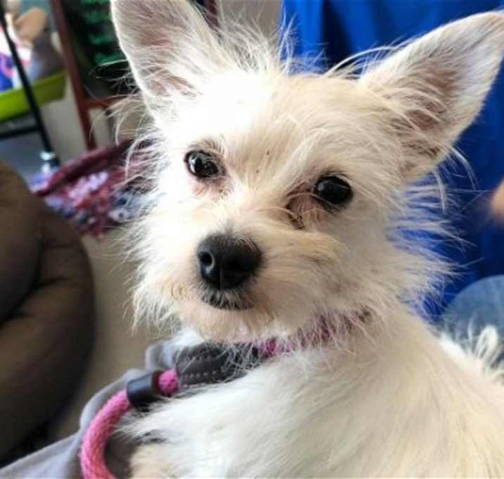 Photo of Chloe