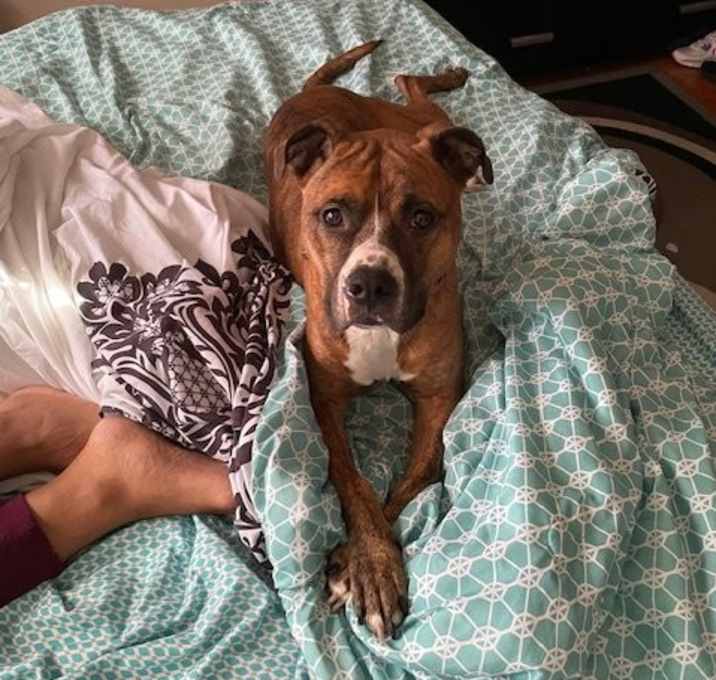 Photo of TESS (COURTESY (POST)