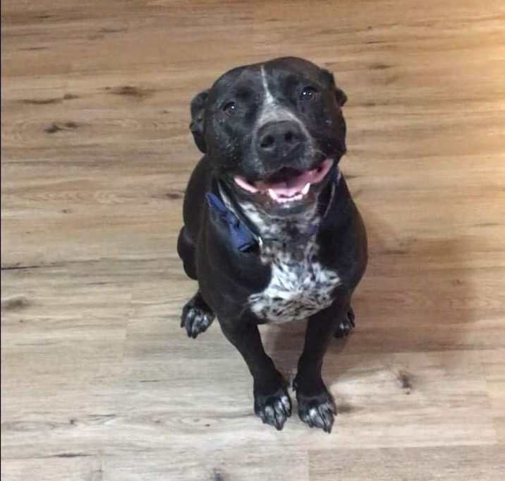 Photo of Baby Girl