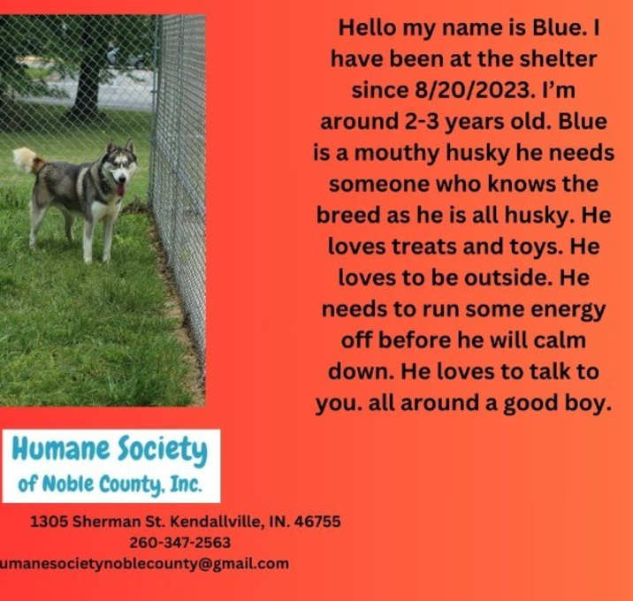 Photo of Blue