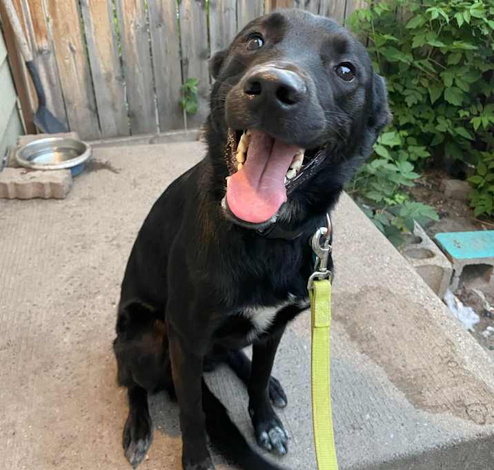 Photo of Zeke