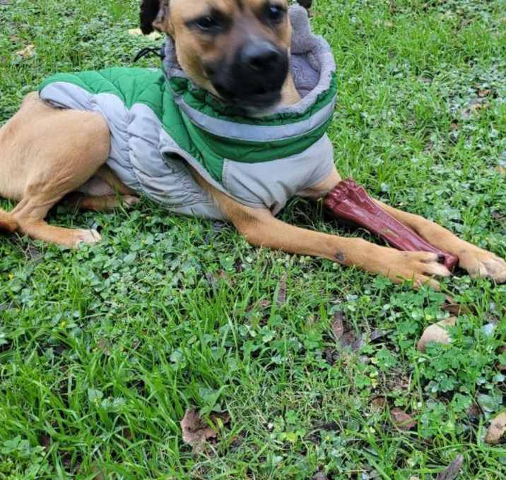 Photo of Finley
