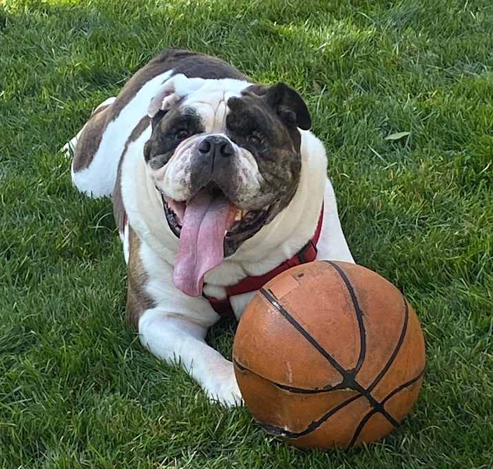 Photo of Murphy