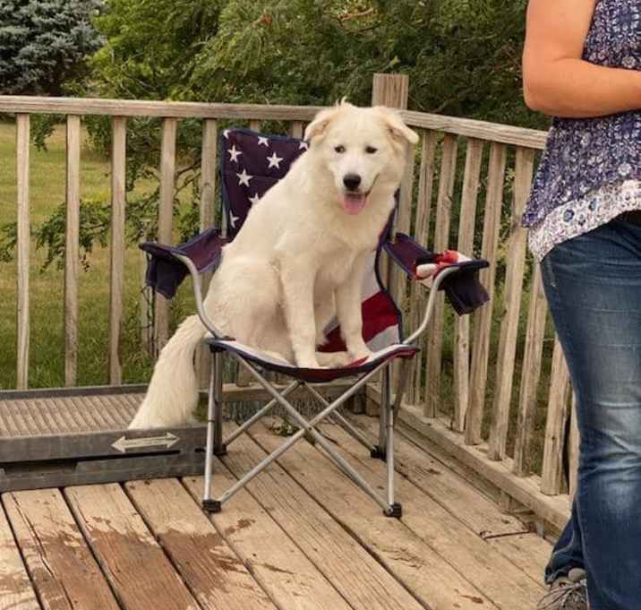 Photo of Buddy
