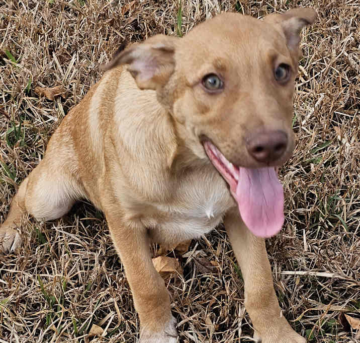 Photo of Trace
