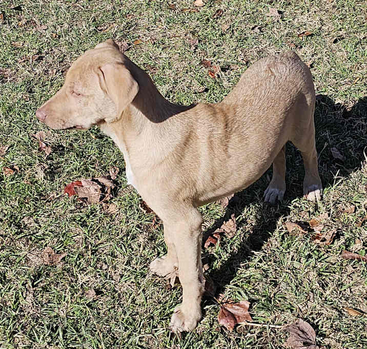 Photo of Silas