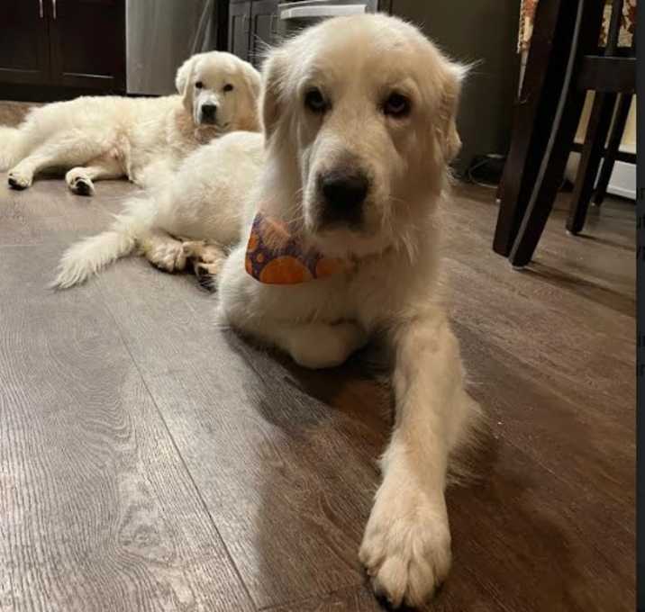 Photo of Winnie