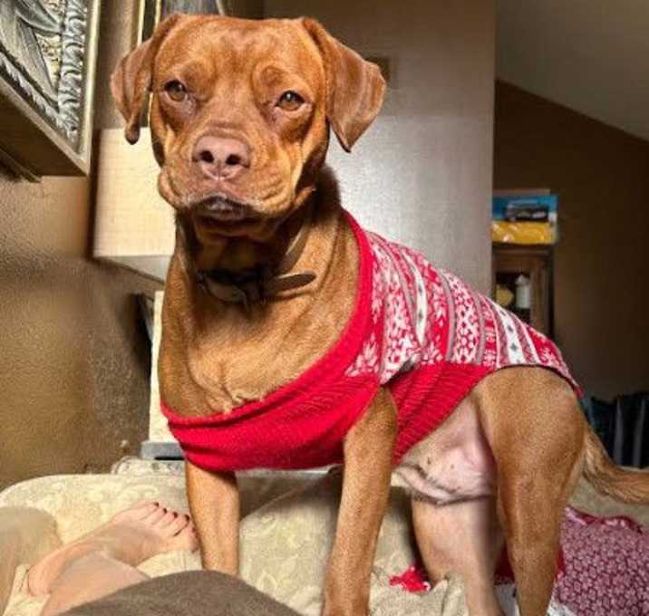 Photo of Sienna & Jasper - Courtesy Post