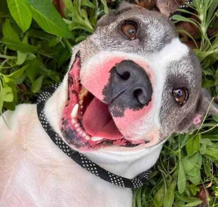 Photo of Stormy