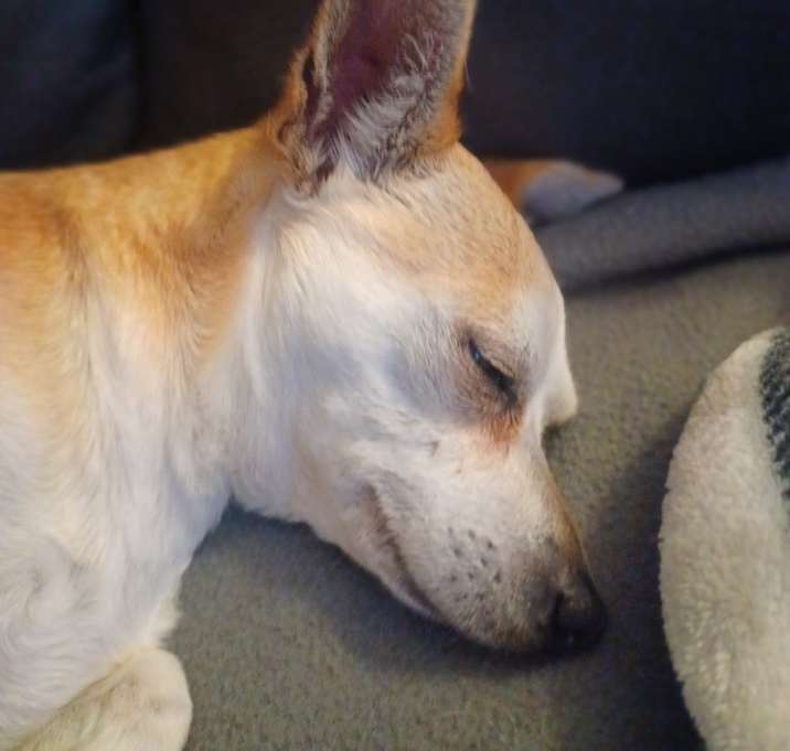 Photo of Risa