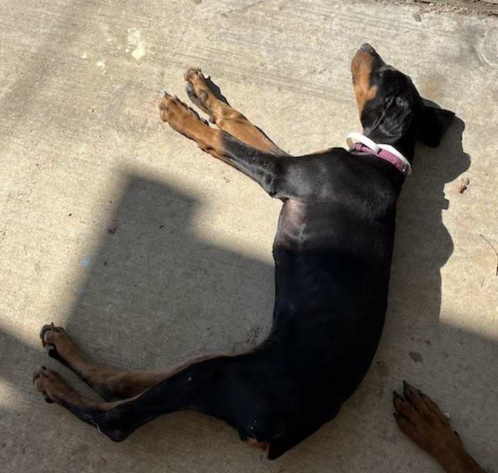 Photo of Faye