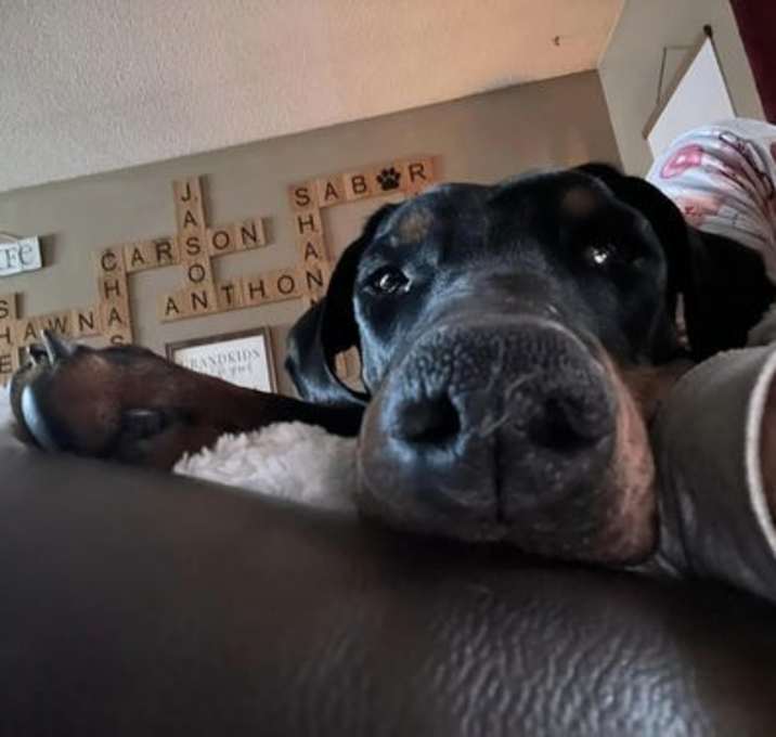 Photo of Snoop