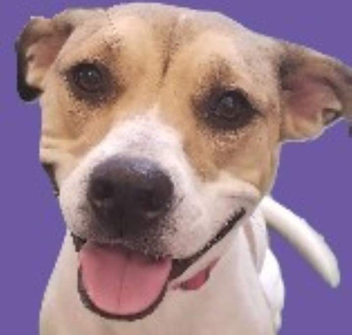 Photo of Leia