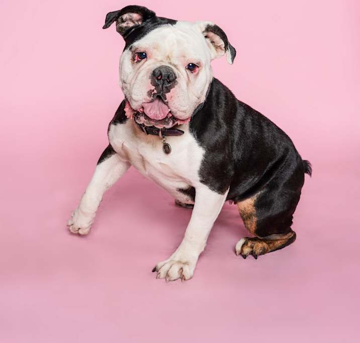 Photo of Hershey