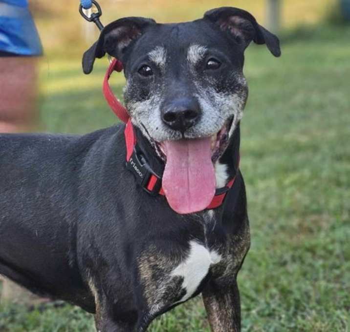 Photo of Poppy
