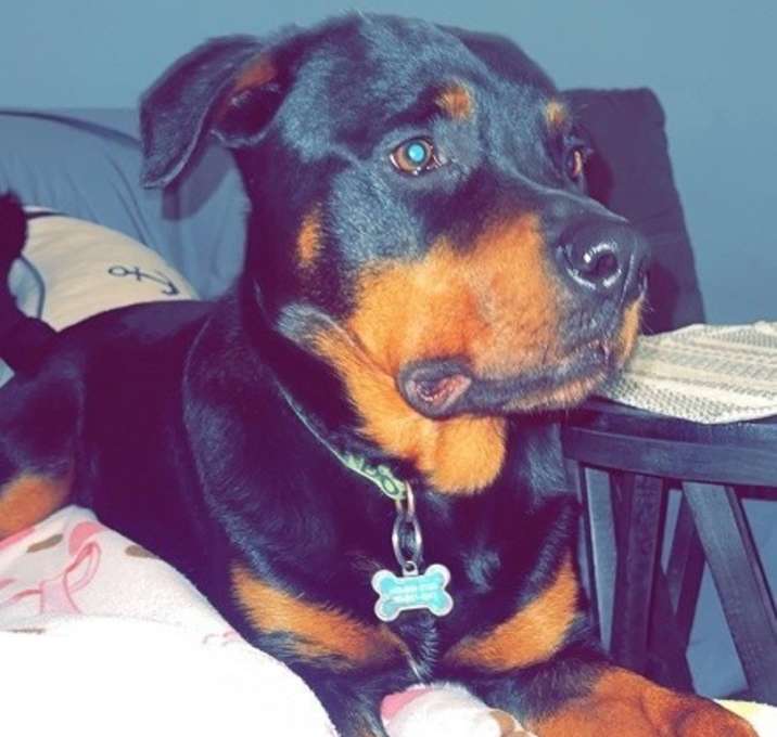 Photo of Captain
