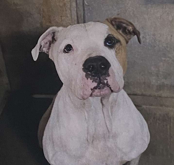 Photo of Heist