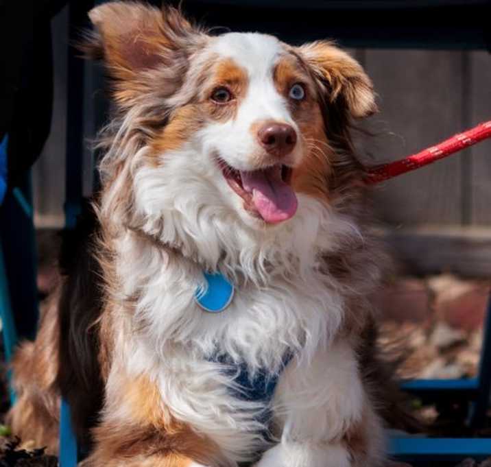 Photo of Kiwi