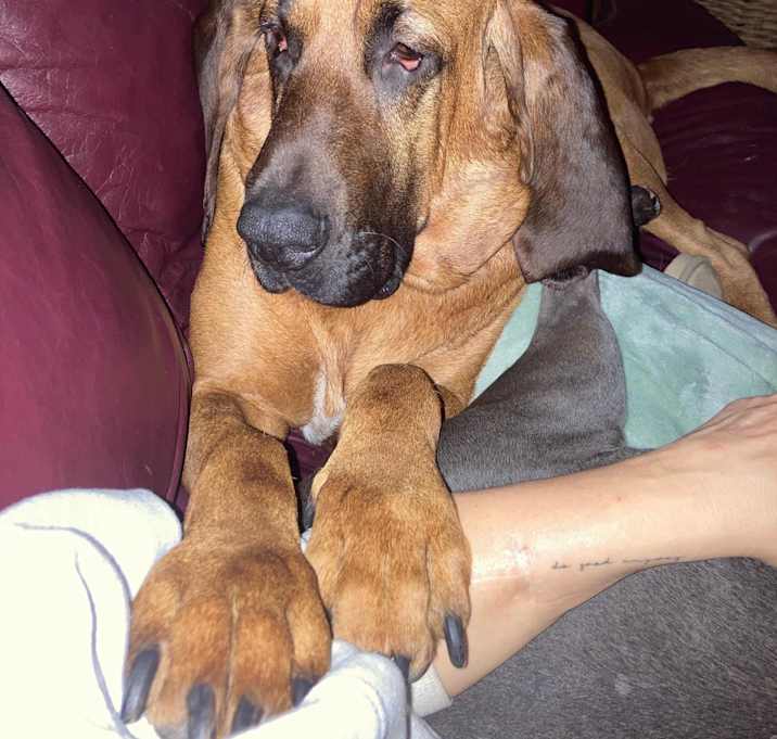 Photo of WATSON