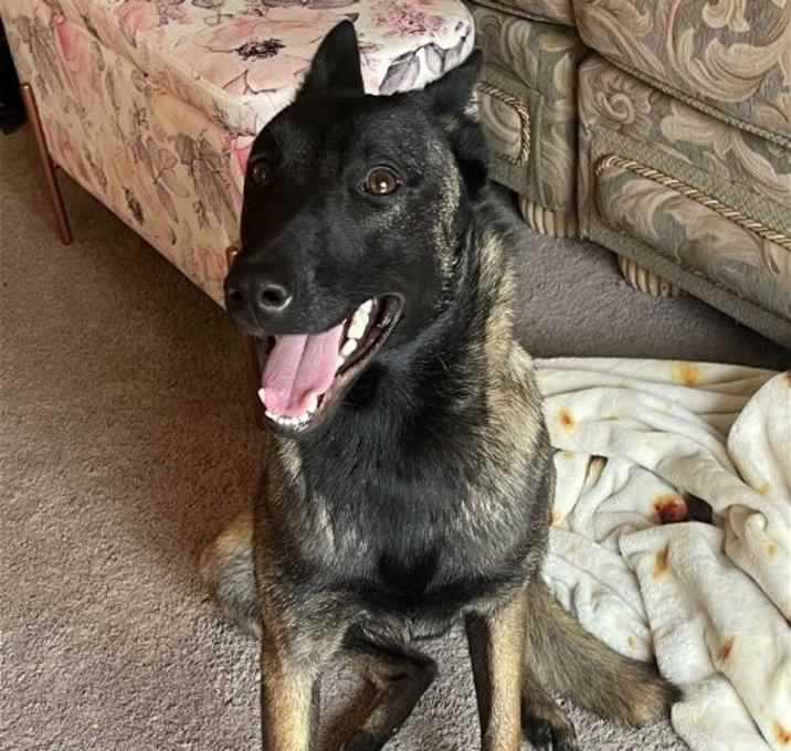 Photo of Rey