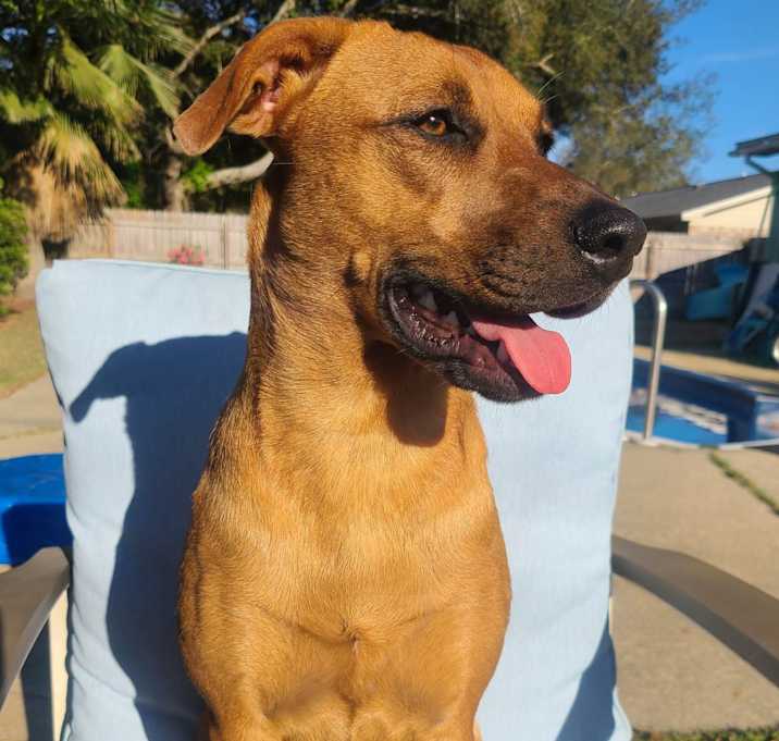 Photo of Bonnie