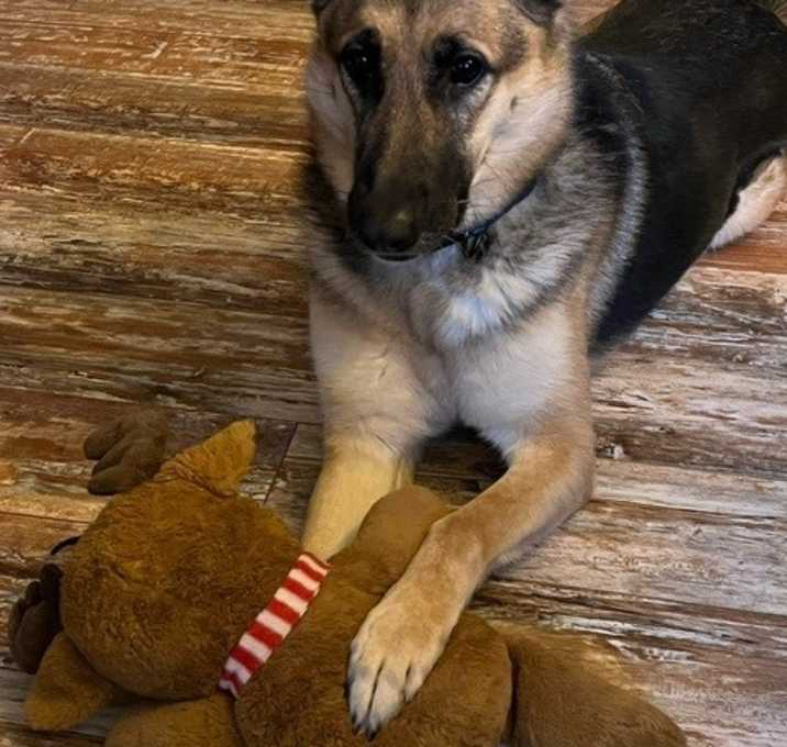 Photo of Sasha (PA)