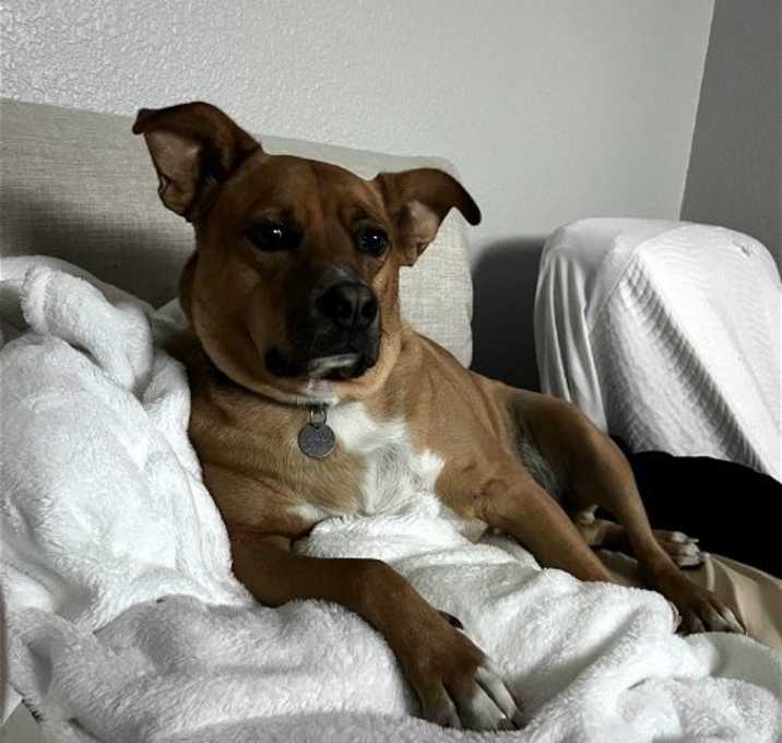 Photo of Bruno