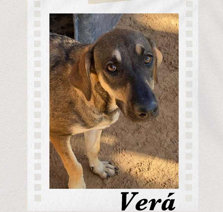 Photo of Vera