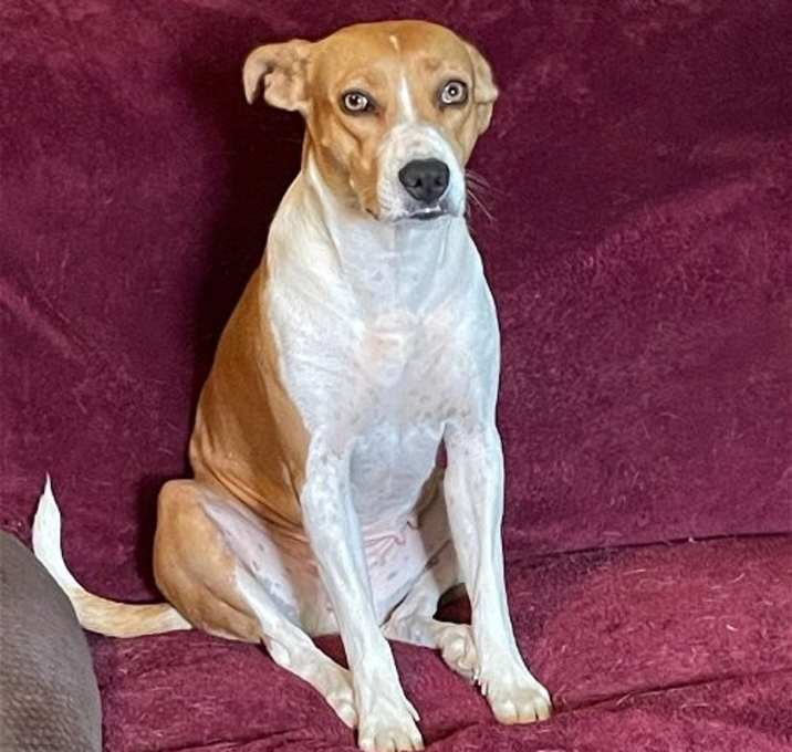 Photo of Bella