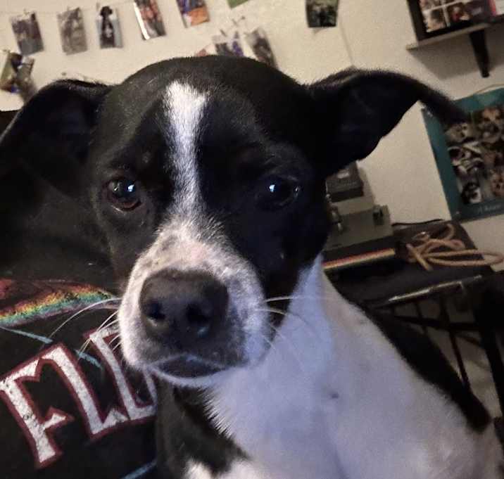 Photo of Dottie