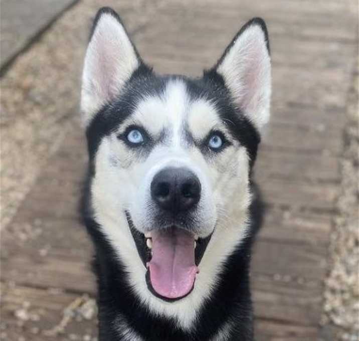 Photo of Eddie