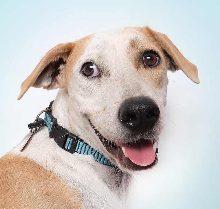 Photo of Finn