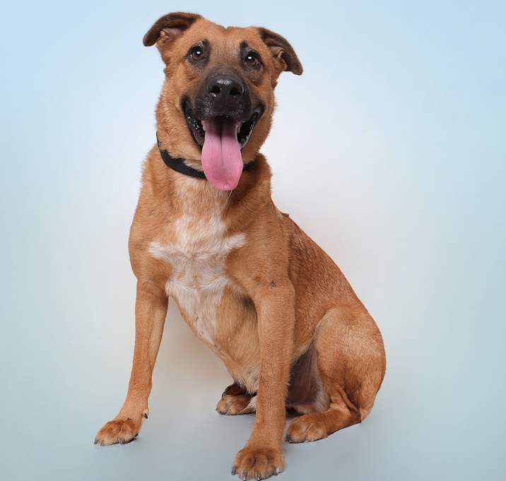 Photo of Max