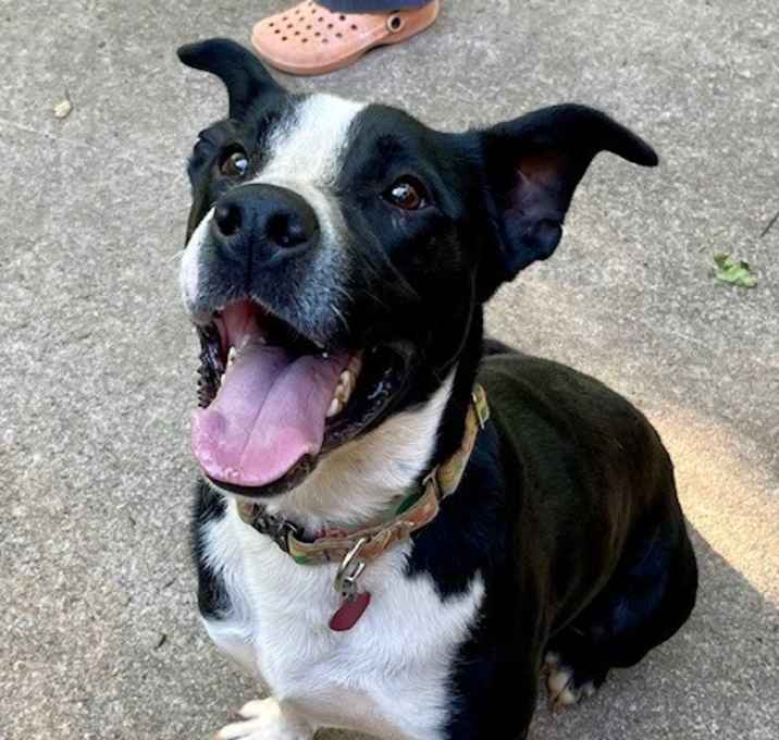 Photo of Wyatt  A046433