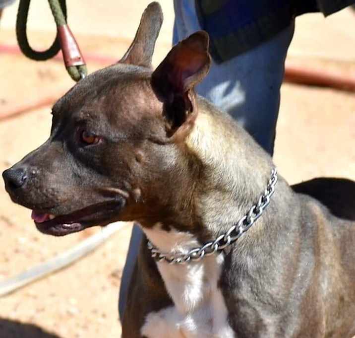 Photo of Tyche
