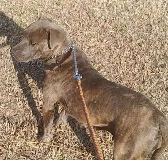 Photo of Sally