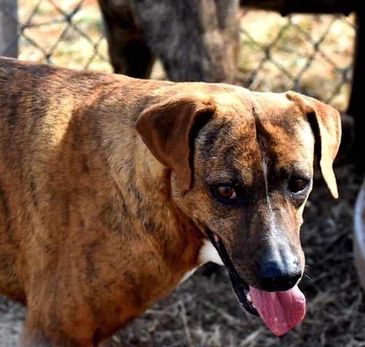 Photo of Itsy